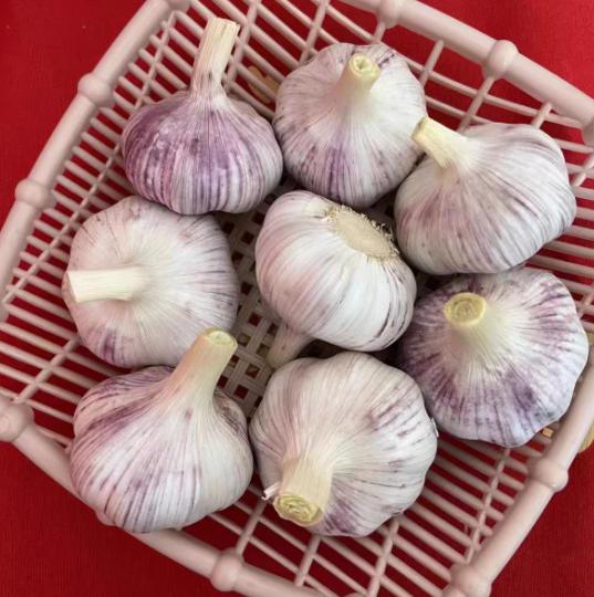 干蒜头农家大蒜头1.5KG/